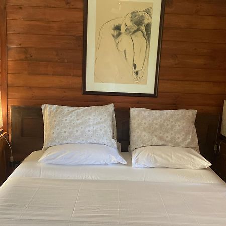 Potters Cottage Bellingen Ngoại thất bức ảnh