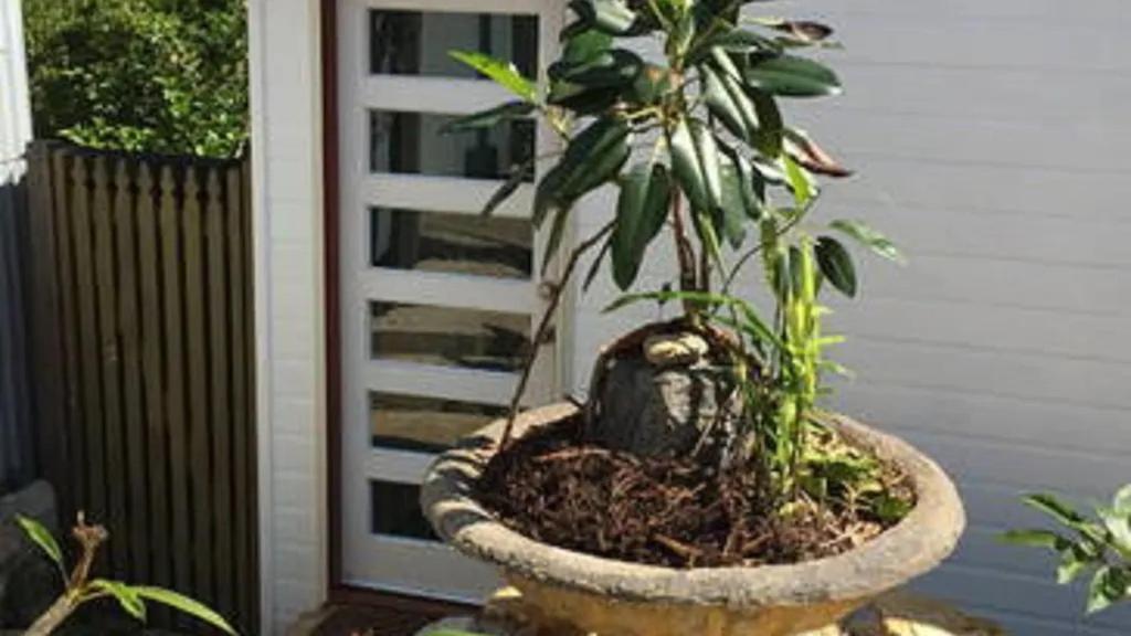 Potters Cottage Bellingen Ngoại thất bức ảnh