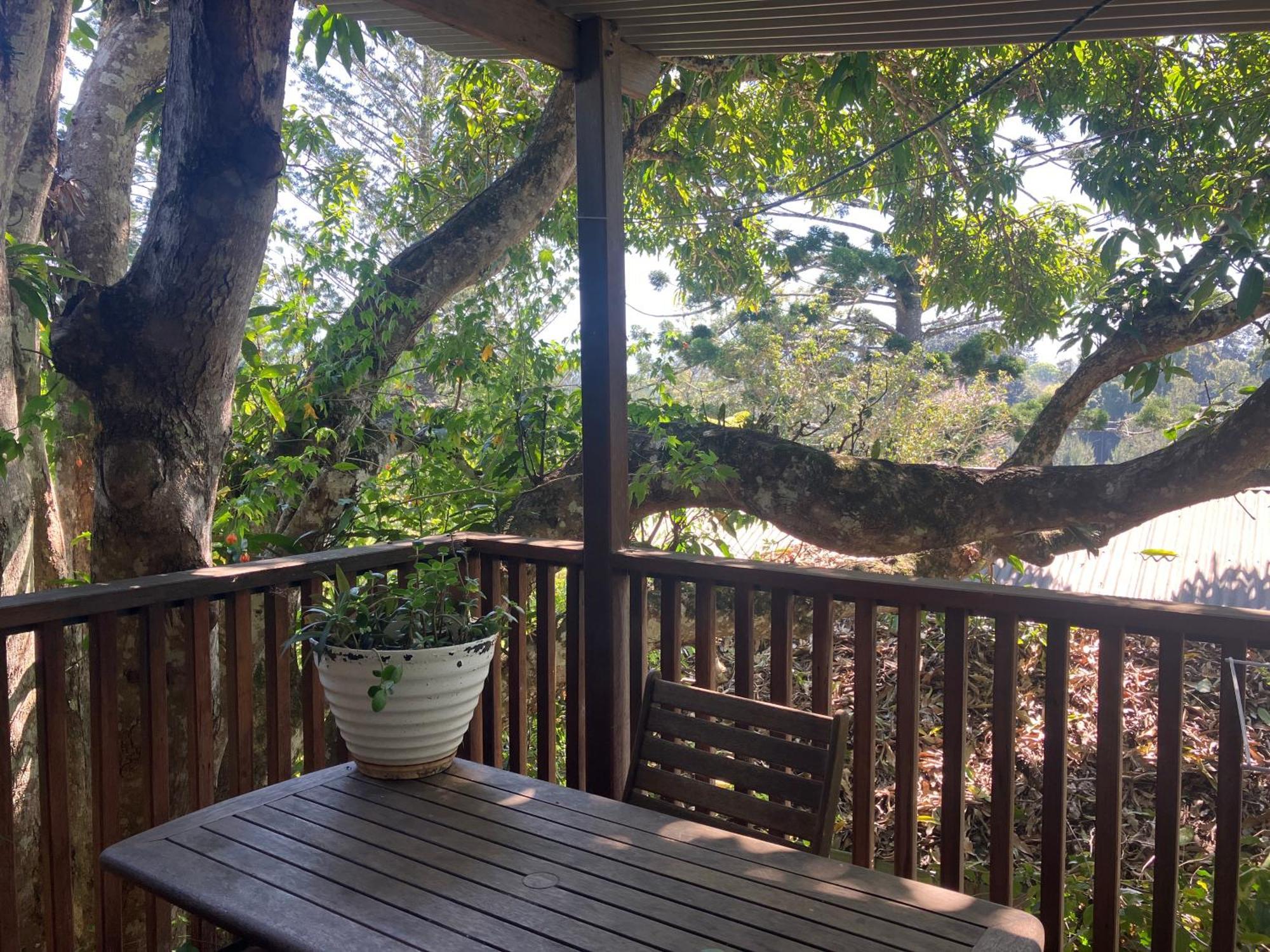 Potters Cottage Bellingen Ngoại thất bức ảnh